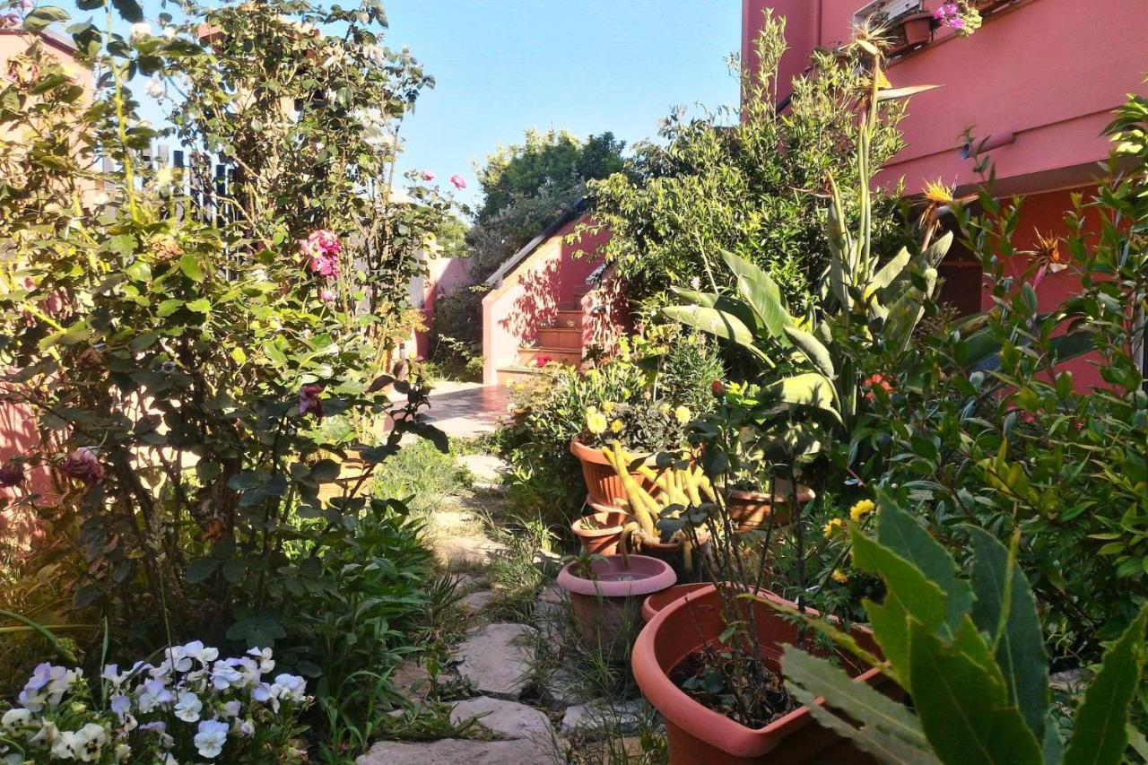 Corona Bed & Breakfast Sardara Exteriér fotografie